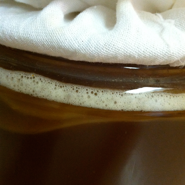 Closeup of SCOBY and foam