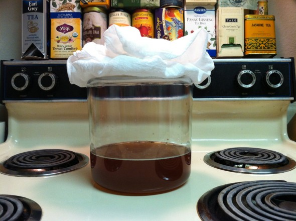 Sarah's Kombucha Homebrew: Day1: Making the Scoby