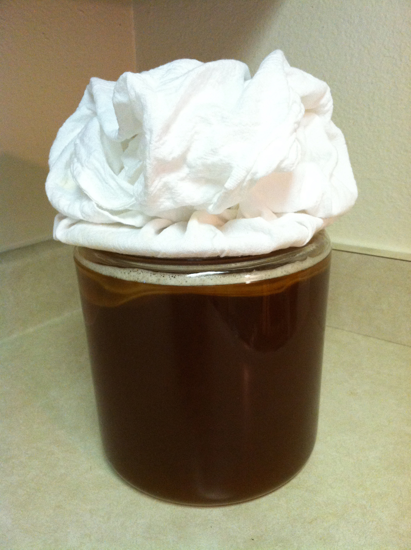 SCOBY floats with foam at top of Kombucha Tea