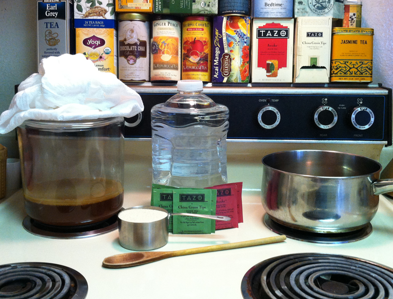 ingredients for home brew kombucha