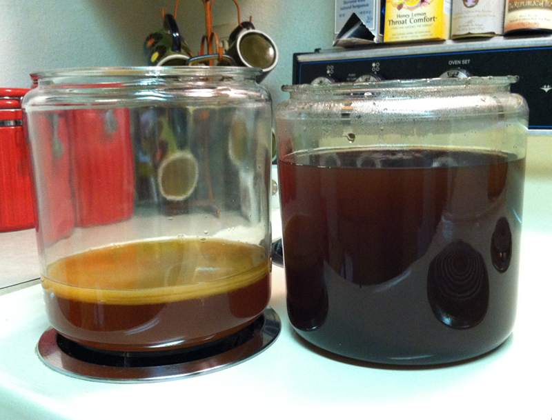 SCOBY and sweet tea